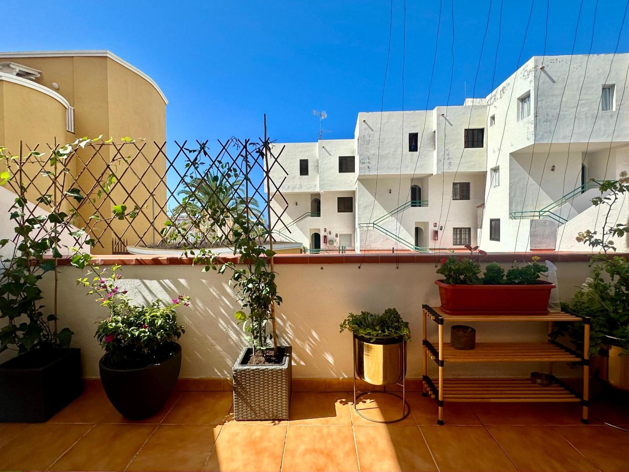 Apartment In Ocean Park Ii, Costa Adeje, Tenerife Bagian luar foto